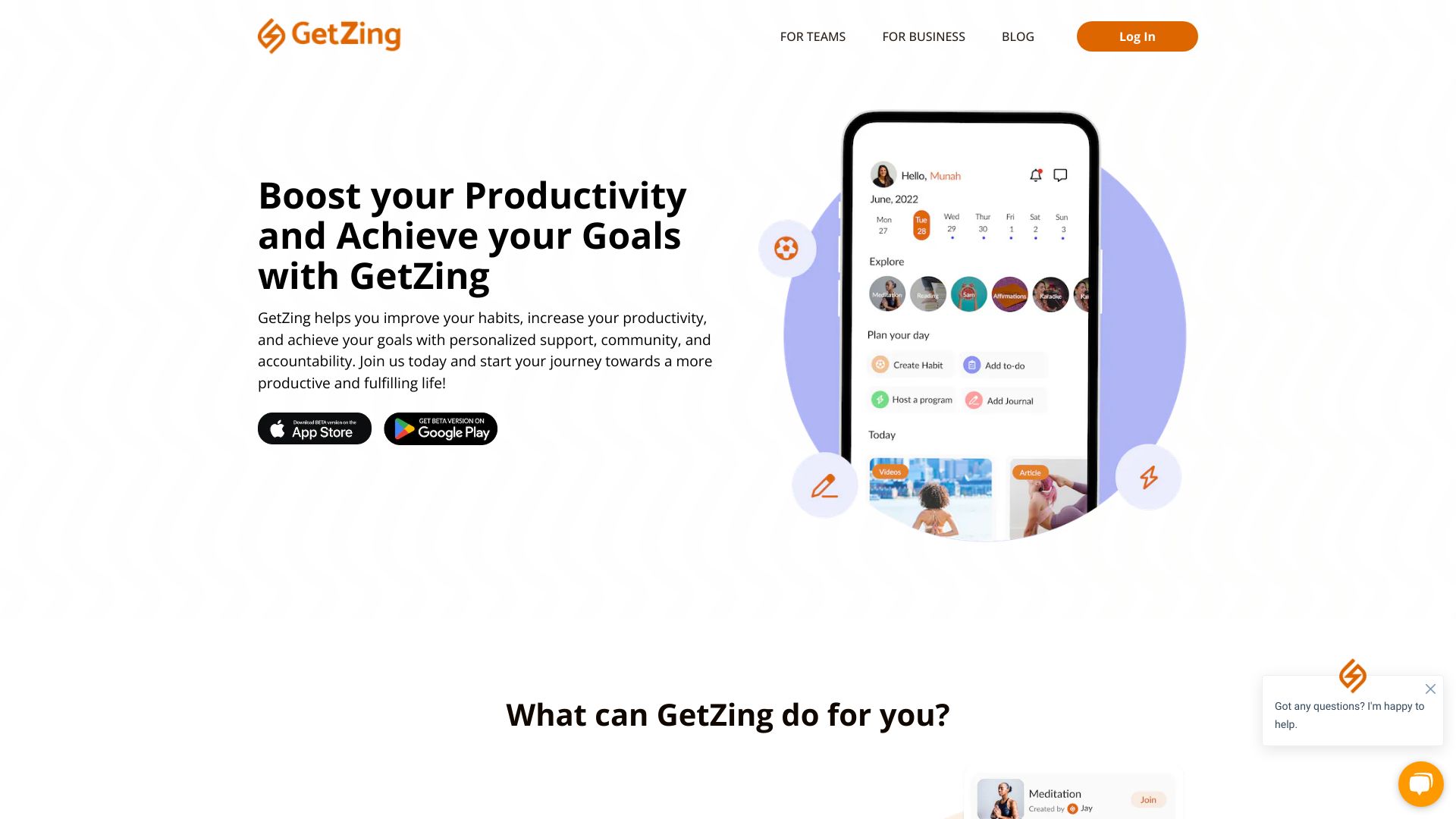 GetZingAI